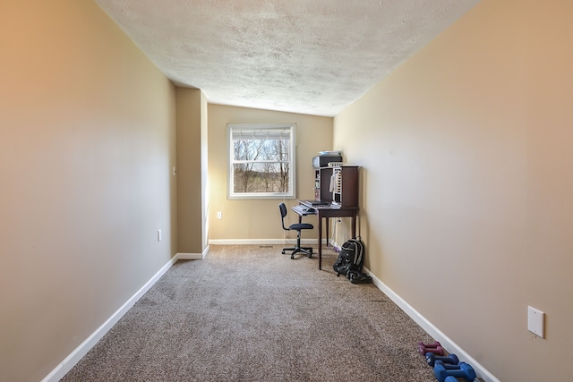 4780 Dutcher Rd, Howell, MI 48843 - carpeted office space featuring baseboards, lofted ceiling, and a textured ceiling