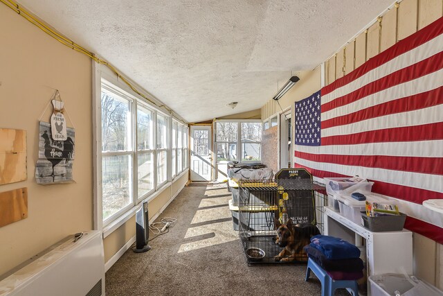 4780 Dutcher Rd, Howell, MI 48843 - view of sunroom / solarium