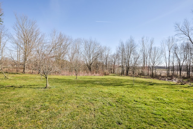 4780 Dutcher Rd, Howell, MI 48843 - view of yard