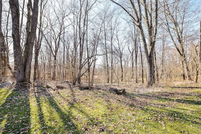 4780 Dutcher Rd, Howell, MI 48843 - exterior space featuring a view of trees