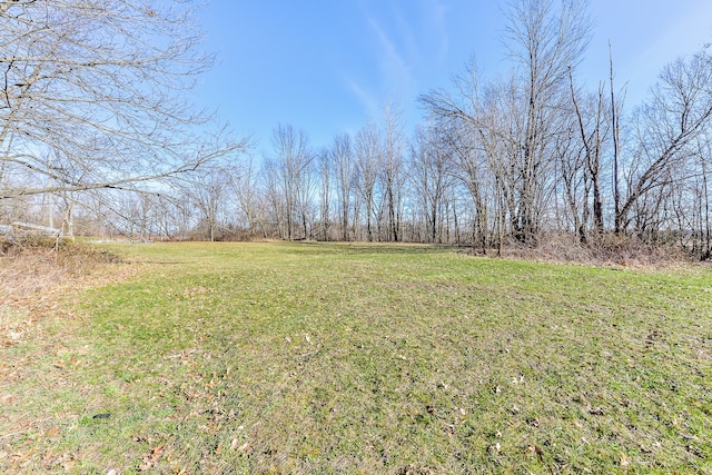 4780 Dutcher Rd, Howell, MI 48843 - view of yard