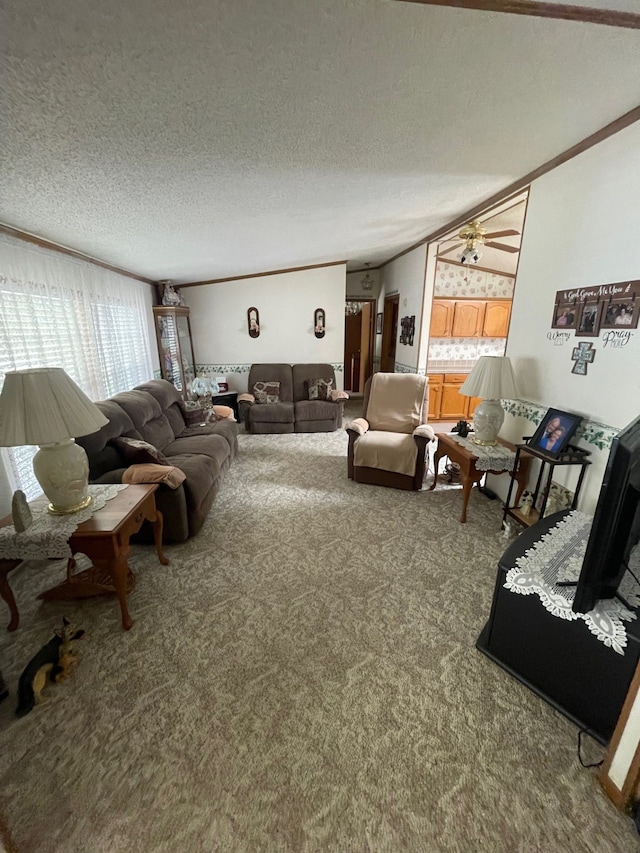 carpeted living area featuring a textured ceiling