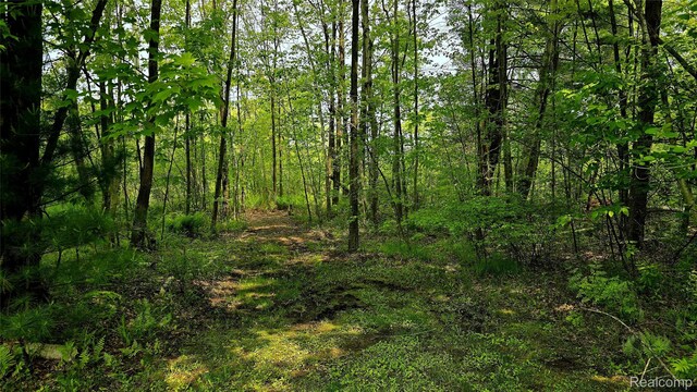 5303 Dove Rd, Kimball, MI 48074 - view of tree filled area