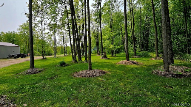 5303 Dove Rd, Kimball, MI 48074 - view of grassy yard