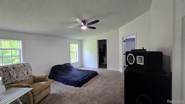5303 Dove Rd, Kimball, MI 48074 - bedroom featuring vaulted ceiling, carpet flooring, a ceiling fan, a textured ceiling, and baseboards