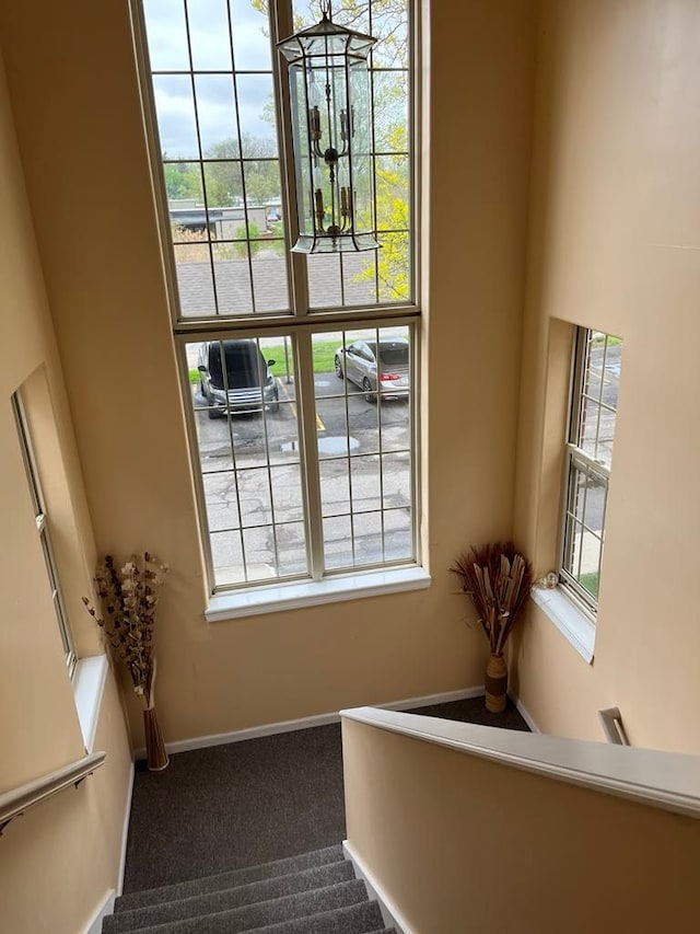 28848 5 Mile Rd Unit 11, Livonia, MI 48154 - stairs with baseboards and carpet