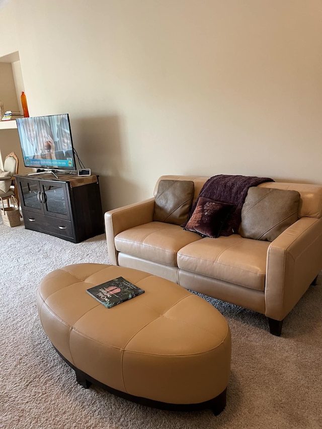 28848 5 Mile Rd Unit 11, Livonia, MI 48154 - view of carpeted living room