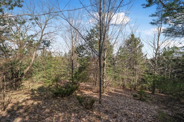 12121 S Bugai Rd, Cedar, MI 49621