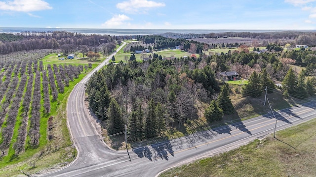 12121 S Bugai Rd, Cedar, MI 49621