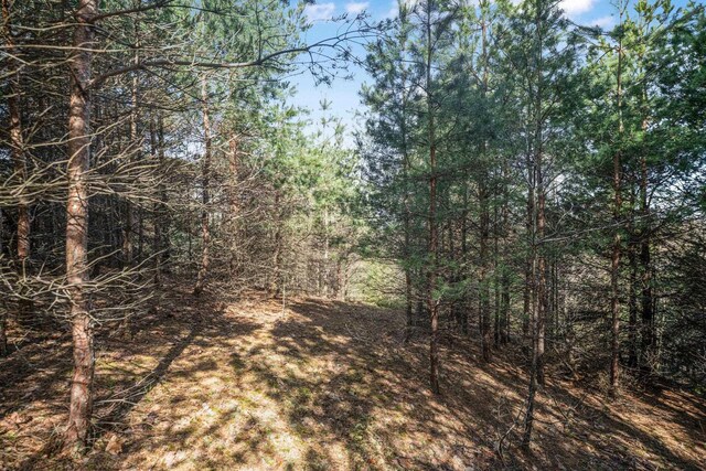 12121 S Bugai Rd, Cedar, MI 49621