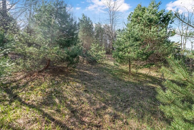 12121 S Bugai Rd, Cedar, MI 49621