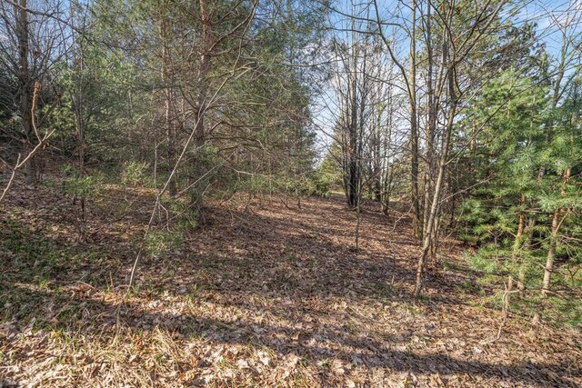 12121 S Bugai Rd, Cedar, MI 49621