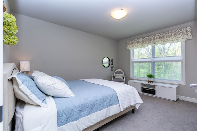 bedroom with baseboards and carpet floors