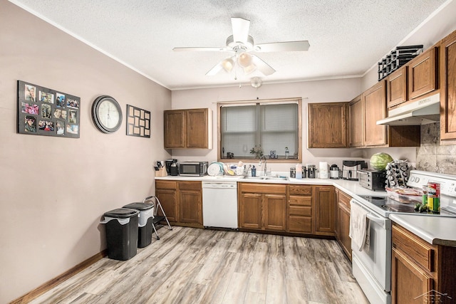 4895 Sycamore Rd, Newport, MI 48166 - kitchen featuring white appliances, under cabinet range hood, a sink, a textured ceiling, and ceiling fan