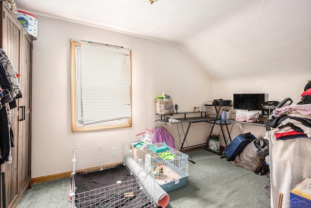 4895 Sycamore Rd, Newport, MI 48166 - view of storage room
