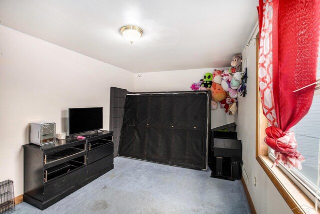 4895 Sycamore Rd, Newport, MI 48166 - bedroom featuring carpet floors and baseboards