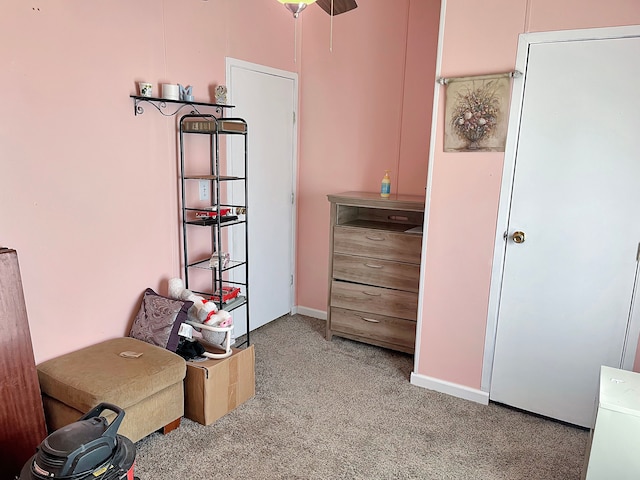 bedroom with carpet flooring