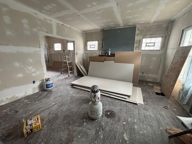 miscellaneous room featuring a wealth of natural light