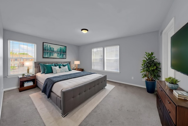 3620 Ca Canny Ct, Ann Arbor, MI 48108 - photo 20
