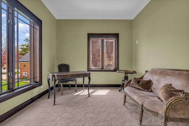 office featuring baseboards, ornamental molding, and carpet floors