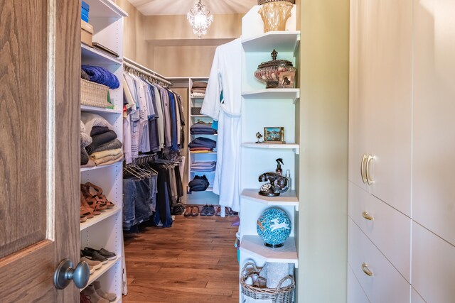 walk in closet with wood finished floors