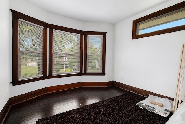 spare room with baseboards, a wealth of natural light, and hardwood / wood-style flooring
