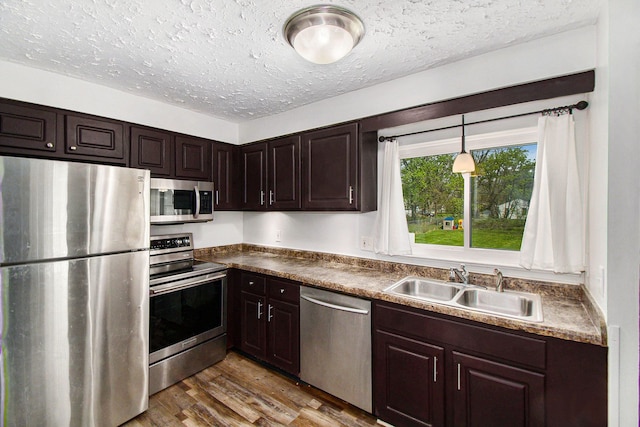 kitchen featuring stainless steel appliances, a sink, a textured ceiling, wood finished floors, and dark brown cabinetry