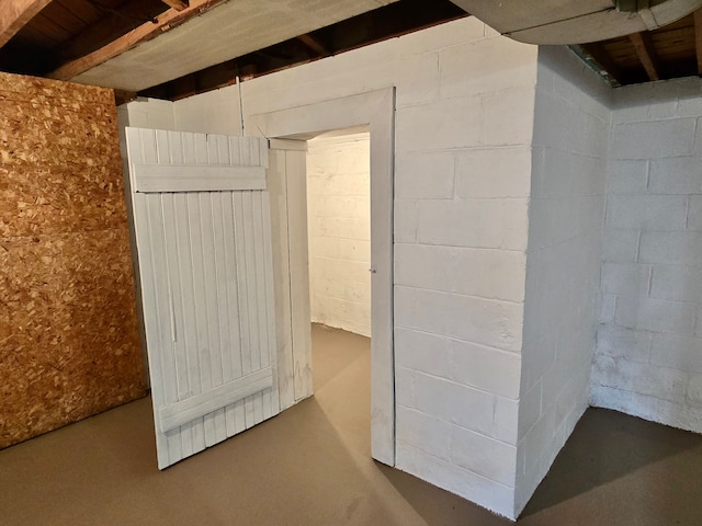 view of unfinished basement