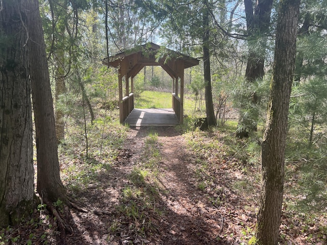 200 S Shearer Rd, Gladwin, MI 48624 - view of landscape with a forest view