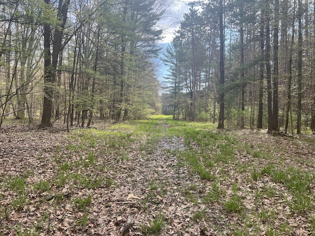 200 S Shearer Rd, Gladwin, MI 48624 - view of local wilderness featuring a forest view