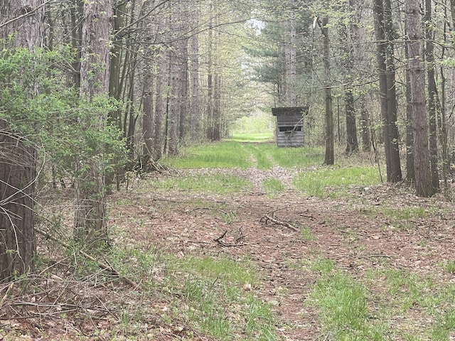 200 S Shearer Rd, Gladwin, MI 48624 - view of local wilderness featuring a wooded view