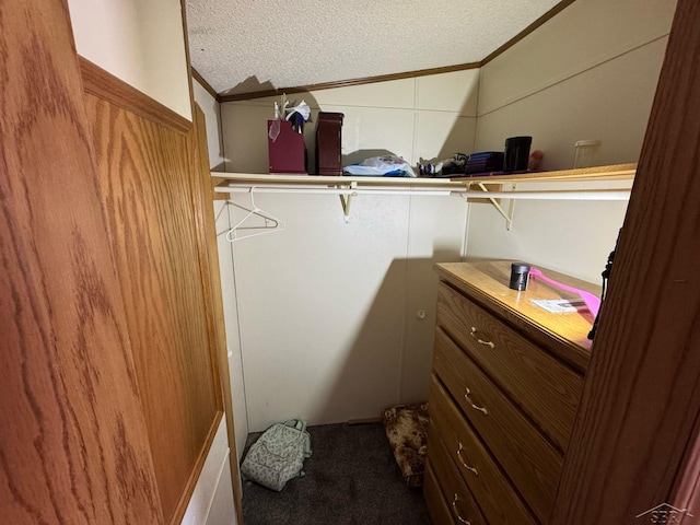 spacious closet with vaulted ceiling and carpet floors