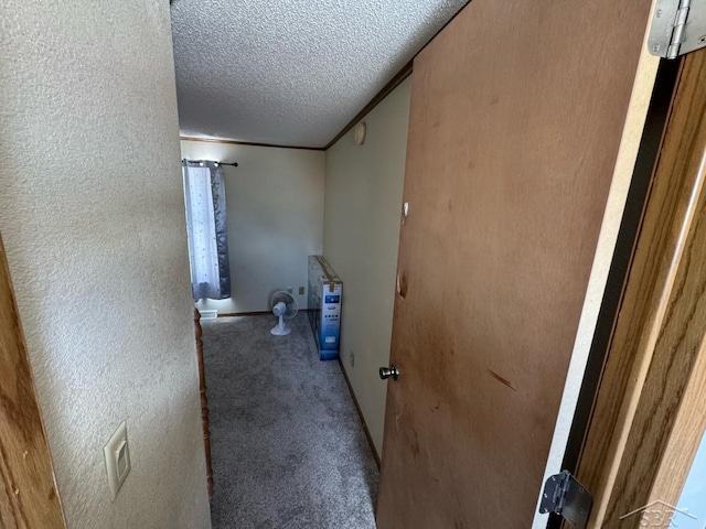 laundry room with a textured ceiling, a textured wall, and carpet floors