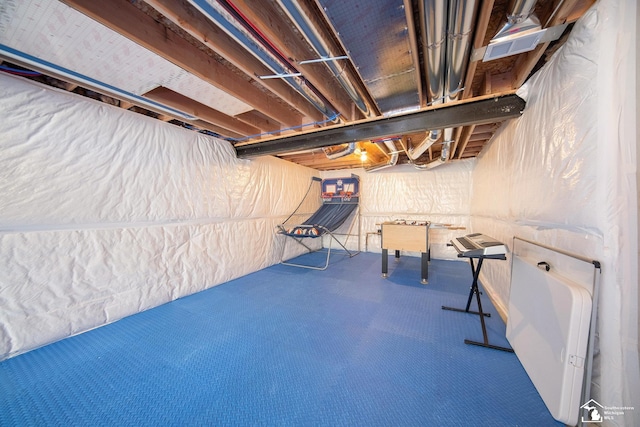 809 Sarah Ln, Milan, MI 48160 - unfinished below grade area with carpet floors