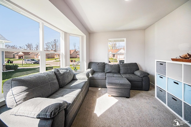 809 Sarah Ln, Milan, MI 48160 - carpeted living area featuring vaulted ceiling
