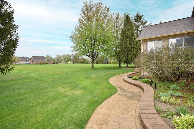 view of yard
