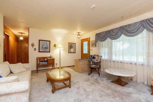 70765 Carter Ave, Niles, MI 49120 - living area with carpet floors