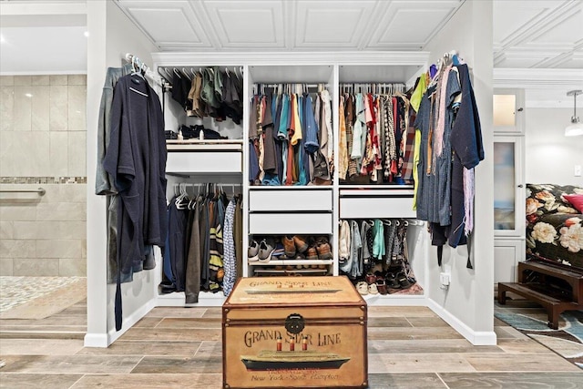 spacious closet featuring wood finished floors