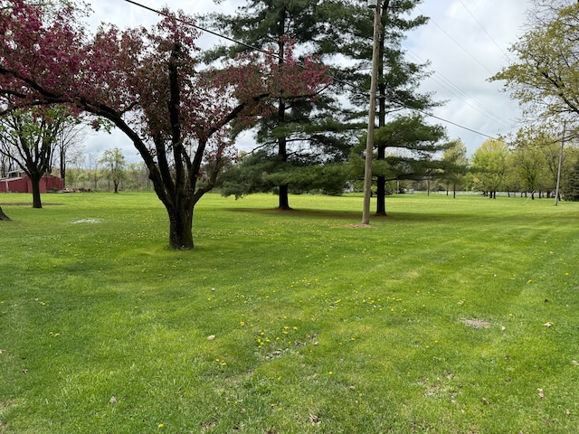 view of green lawn