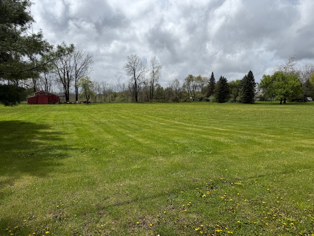 view of grassy yard featuring an outbuilding