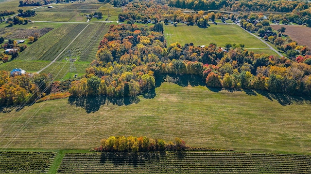 aerial view featuring a rural view