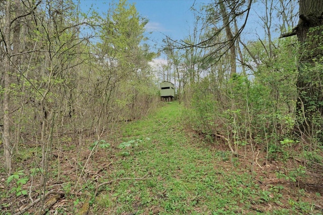 view of local wilderness
