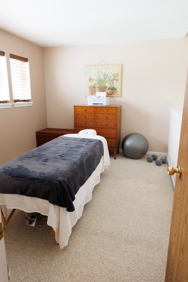 bedroom featuring carpet flooring