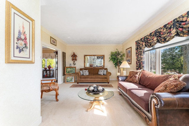 11834 S Elk Lake Rd, Williamsburg, MI 49690