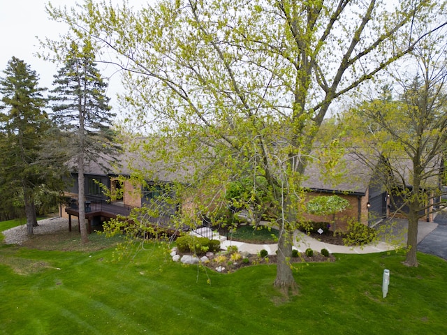 view of yard featuring a wooden deck