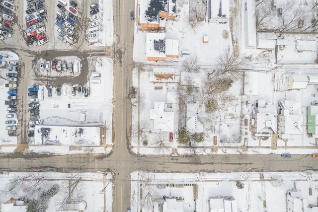 124 S Ottawa St, Tecumseh, MI 49286 - birds eye view of property