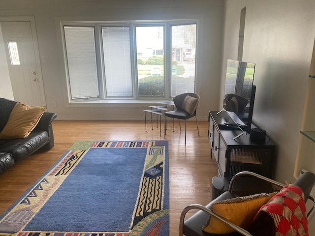 living area featuring wood finished floors