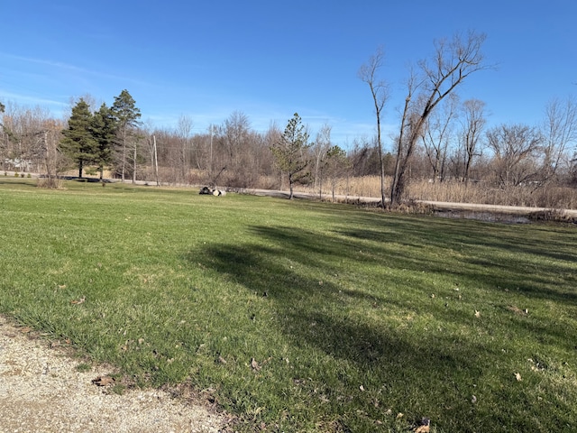 10300 Farrand Rd, Otisville, MI 48463 - view of yard