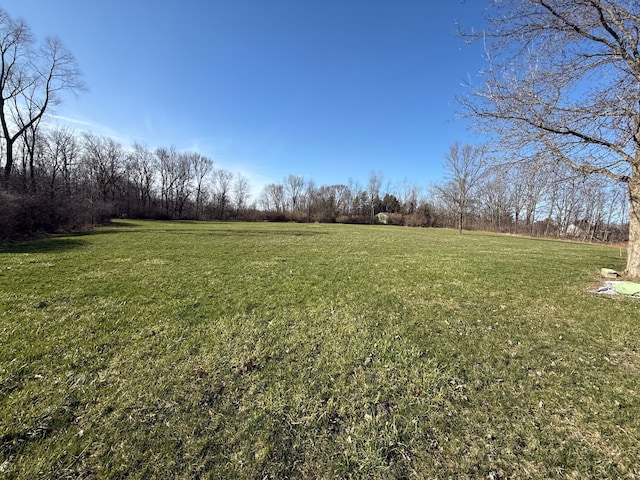 10300 Farrand Rd, Otisville, MI 48463 - view of yard