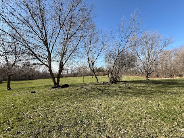 10300 Farrand Rd, Otisville, MI 48463 - view of yard